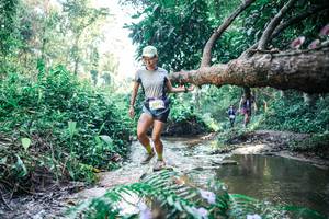 BIB: 
                            <button type="button" onclick="openModal(25439341)" class="btn btn-primary btn-sm float-right btn-popup" data-toggle="modal" data-target=".modal-high-quality">
                        <i class="fas fa-shopping-cart"></i> Add to Cart
                    </button>
                                            <button type="button" onclick="isThisMe(25439341, true)" class="btn btn-success btn-sm float-right btn-popup btn-isme hidden" data-toggle="tooltip" data-placement="bottom" title="นี่คือรูปของคุณใช่ไหม คลิกที่นี่เพื่อเอาเข้าอัลบั้ม">
                        <i class="fas fa-plus"></i> Add to album
                    </button>
                    <button type="button" onclick="isThisMe(25439341, false)" class="btn btn-warning btn-sm float-right btn-popup btn-isnotme hidden">
                        <i class="fas fa-ban"></i> Remove from album
                    </button>